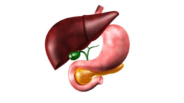 红烧兔子肉家常做法是怎样的？